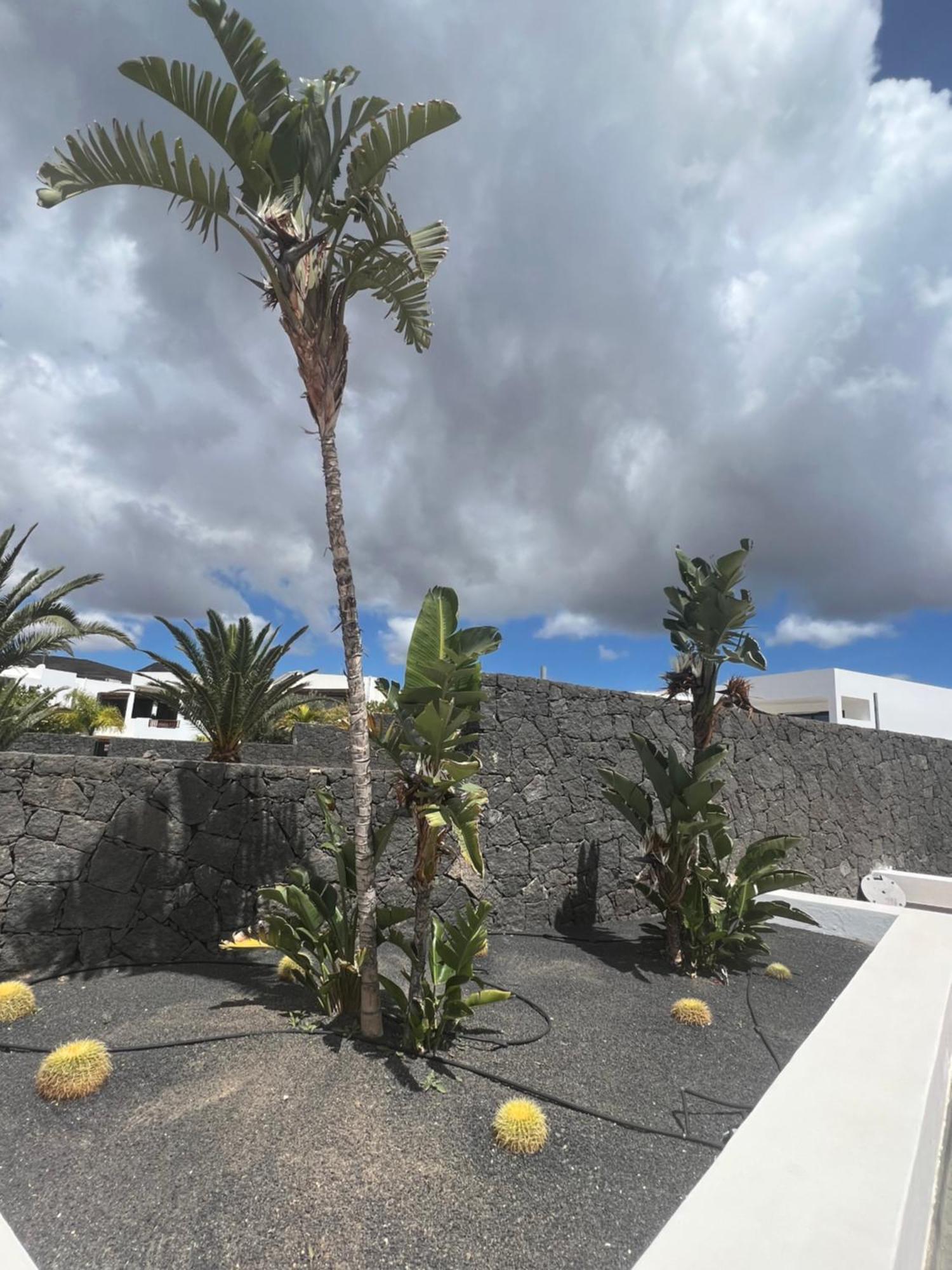 Villa Dedalos - A Luxury Large Villa With A Heated Pool In Puerto Calero Dış mekan fotoğraf